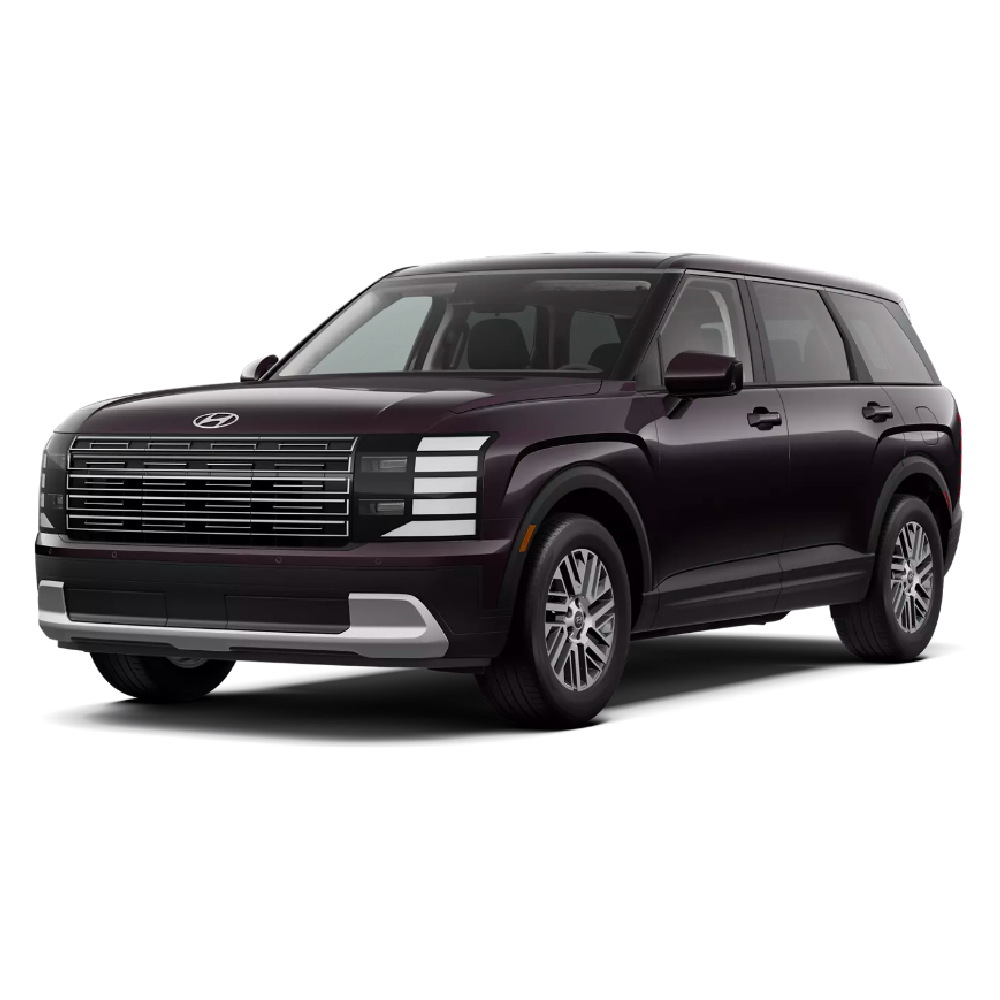 Hyundai Palisade Negro